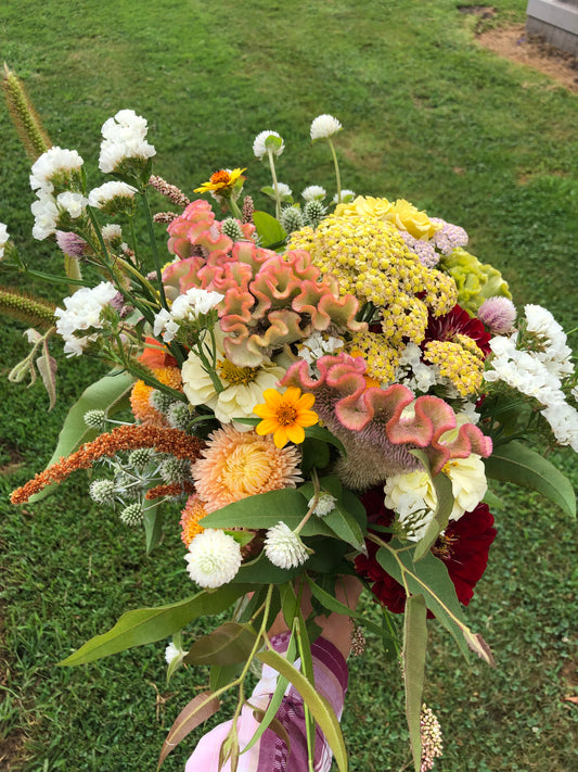 2025 U-pick 5 Bouquet Punch Pass